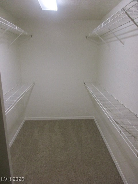 Building Photo - 6853 Homing Dove St