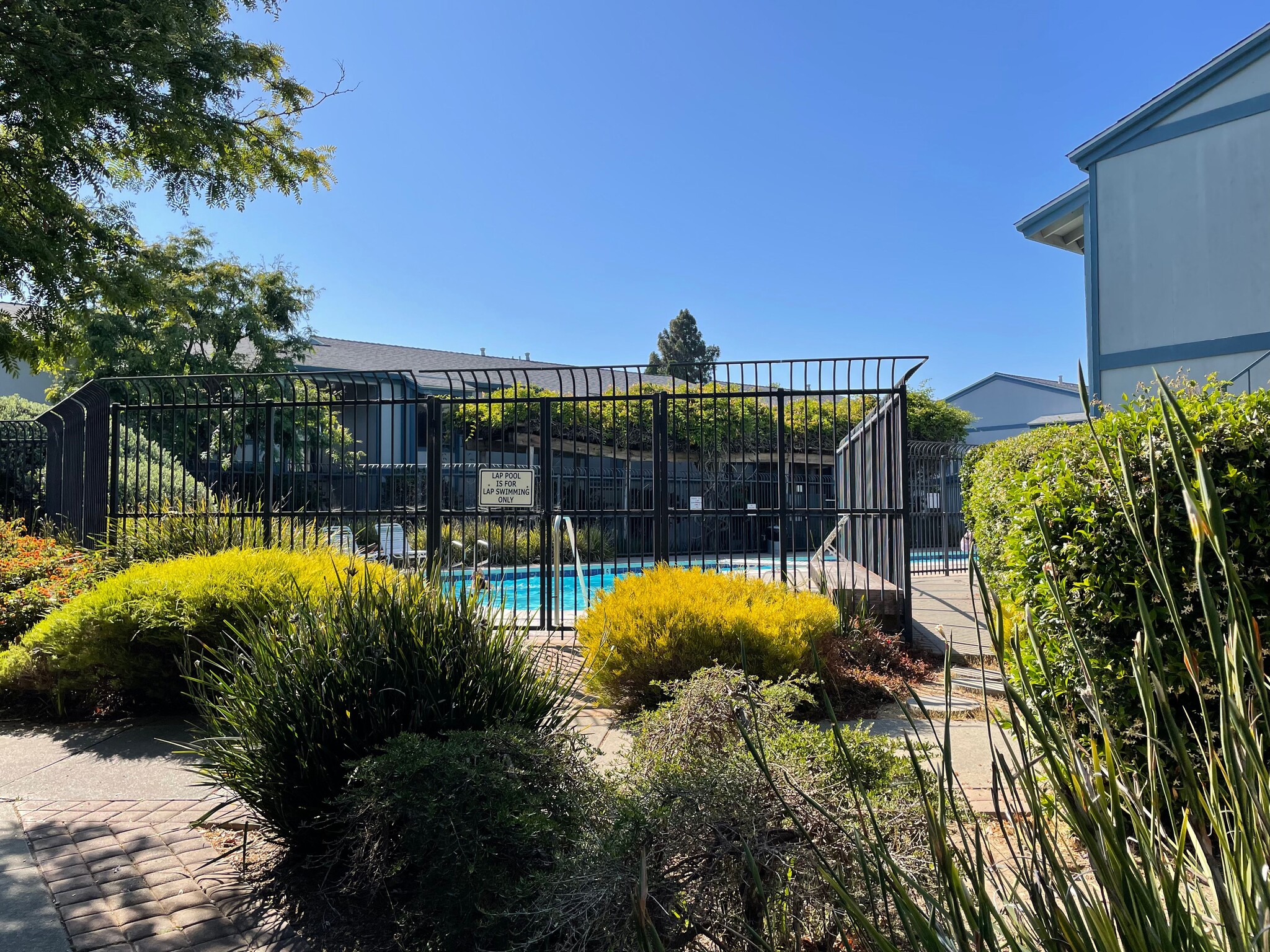 Pool - 1925 46th Ave