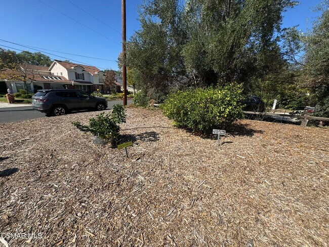 Building Photo - 381 Laguna Terrace