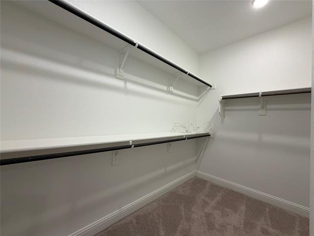 Building Photo - 1436 Brent Knoll Dr