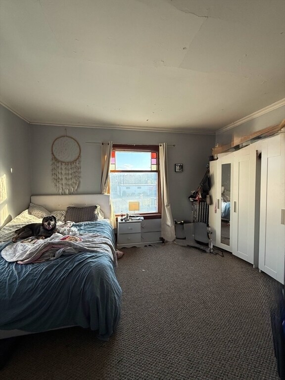 Building Photo - 15 Millbrook St