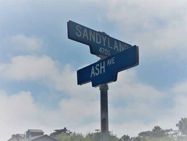 Building Photo - Cozy Studio by the Beach in Sandpiper III Complex!