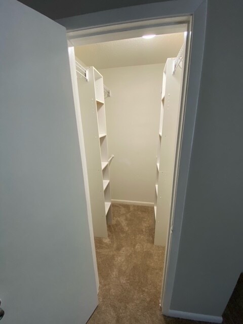 Master Closet - 3100 Heathstead Pl