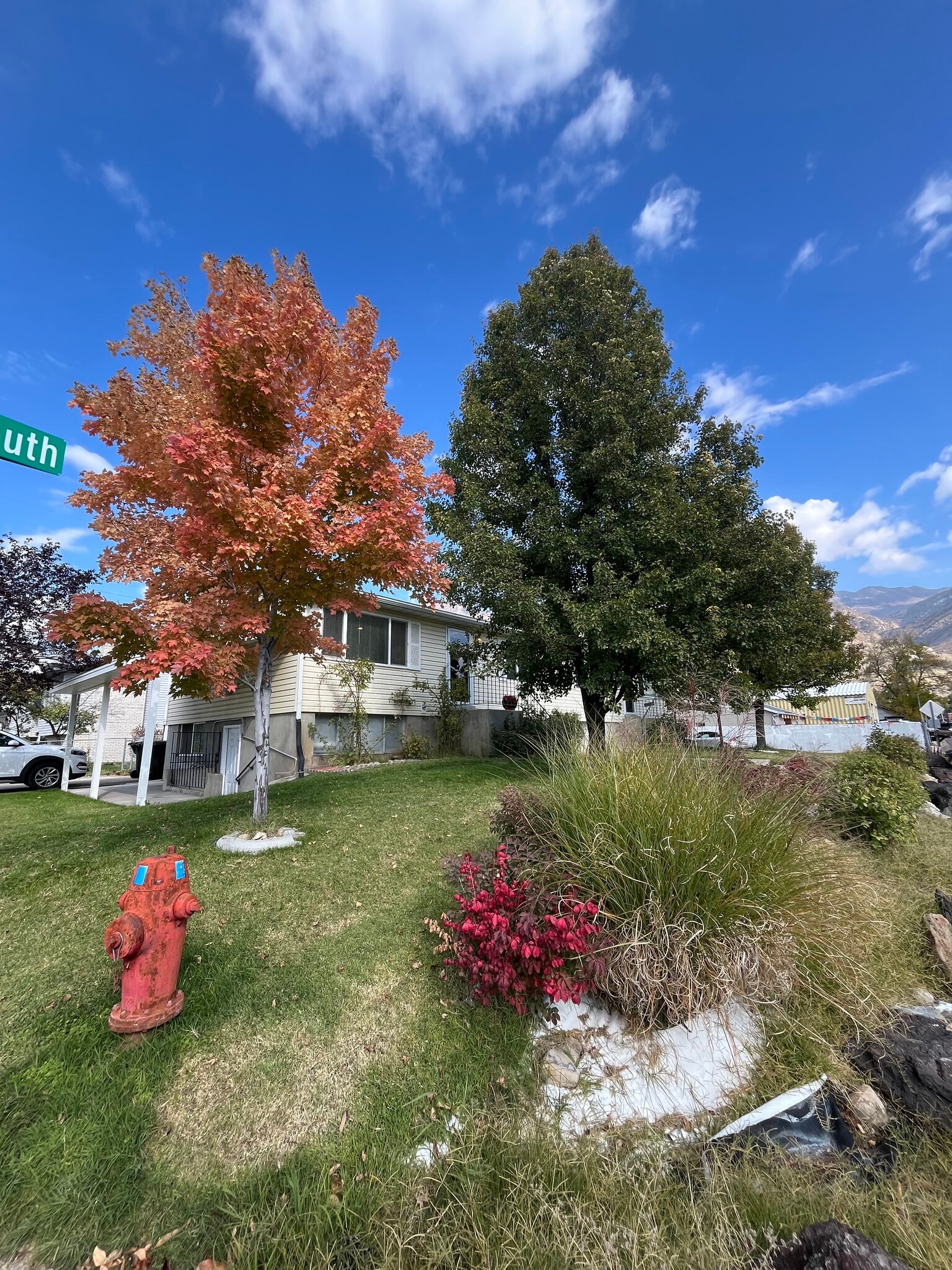 Front Yard - 723 E 600 S