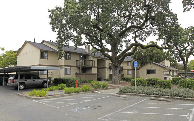 Primary Photo - Woodgate Oaks Apartments