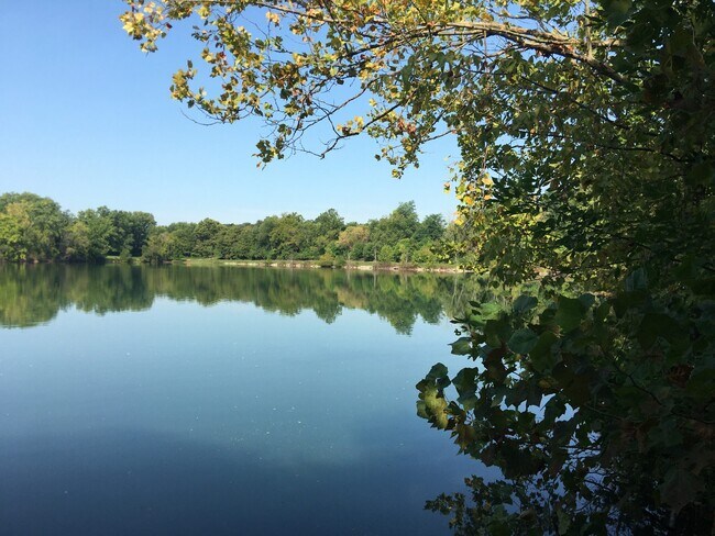 Cenci Park - 708 Lewis Ave