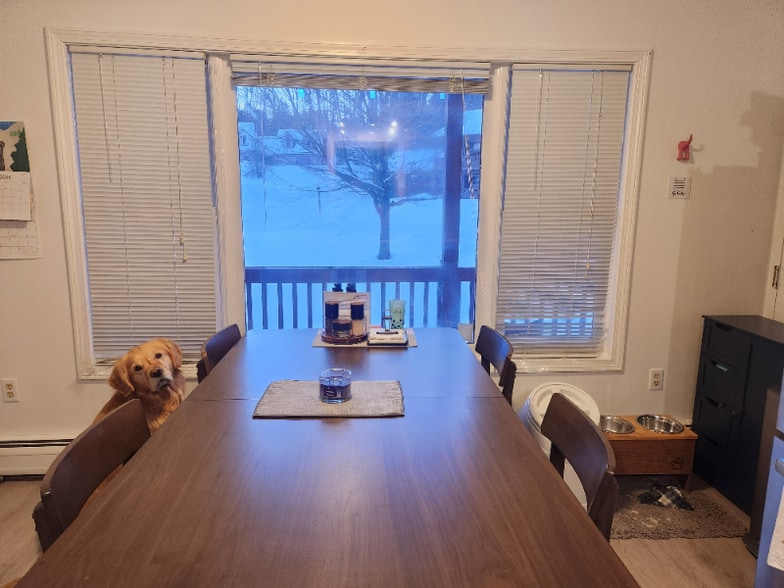 Building Photo - 205 Forest Dr