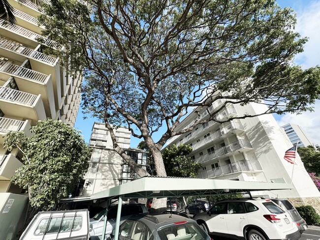 Building Photo - Pet Friendly Gold Coast Condo Fronting the...