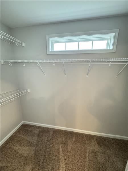 Building Photo - 111 Como Dr