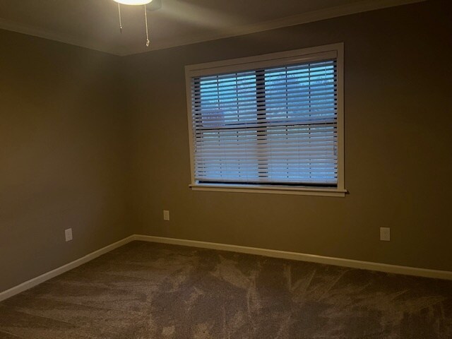 3rd bedroom - 333 Mount Vernon Dr