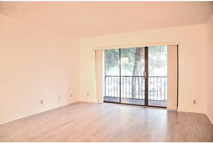 Living room - 209 Foxtail Dr