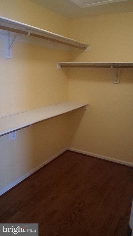 Building Photo - 2554 Miranda Ct