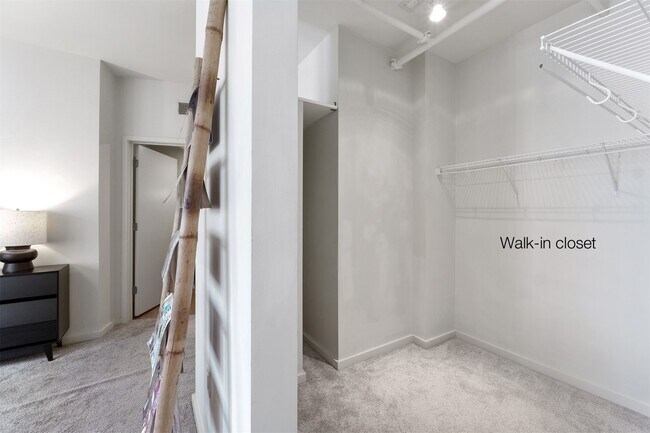 Building Photo - 915 Olive St