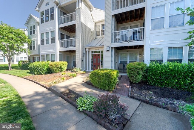 Building Photo - 7505 Calderon Ct