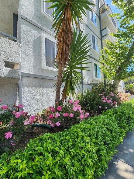 Building Photo - 4401 Sepulveda Blvd