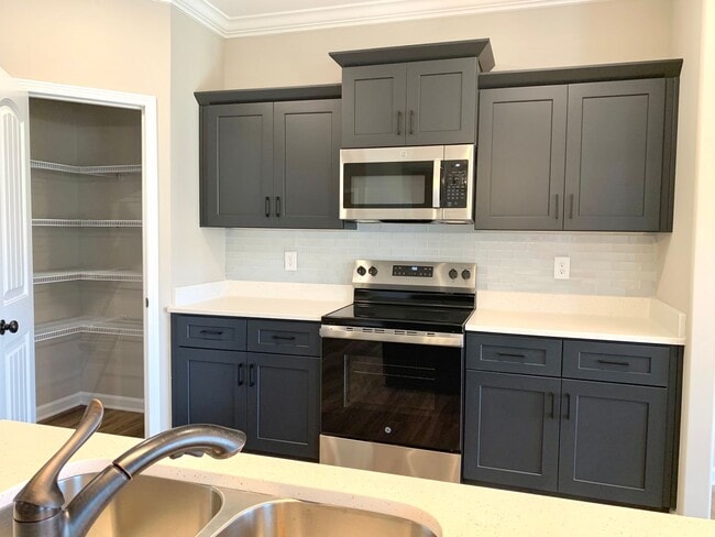 Building Photo - 413 Ayden Ln