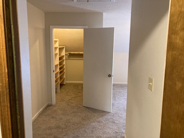 Bedroom 3 / Walk in Closet - 5326 Sleepy Hollow Dr