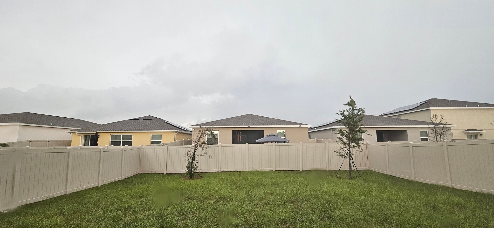 Building Photo - 1113 Saguaro St