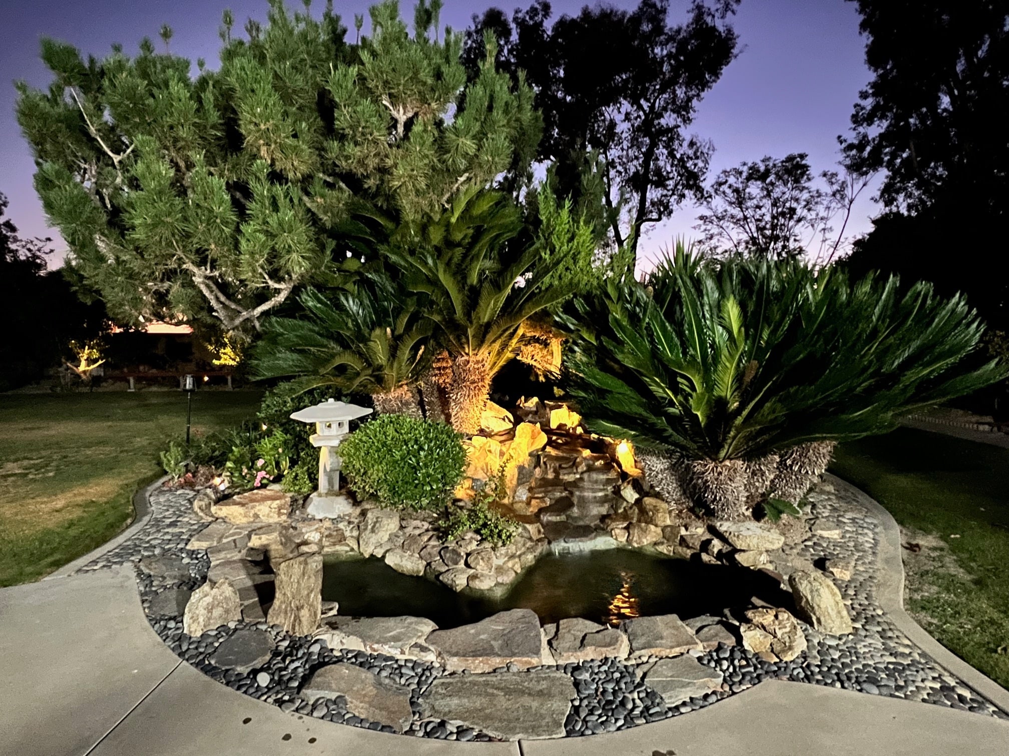 Koi Pond - 5225 Paseo Panorama