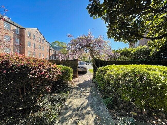 Cut-through to middle parking lot (2829 Thornhill Road) - 2851 Thornhill Rd