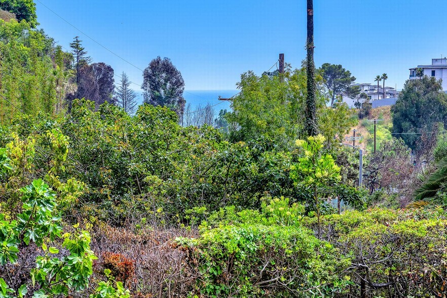 Building Photo - 501 Palisades Dr