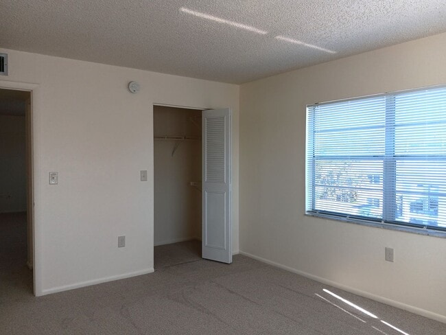 Building Photo - Sunny suite is SWEET in north St Pete - 2/...