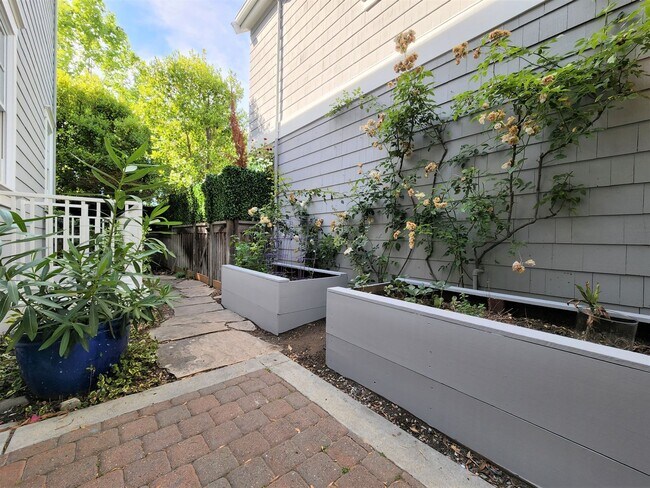 Building Photo - Updated Home Available in Downtown Palo Alto available first week of September!