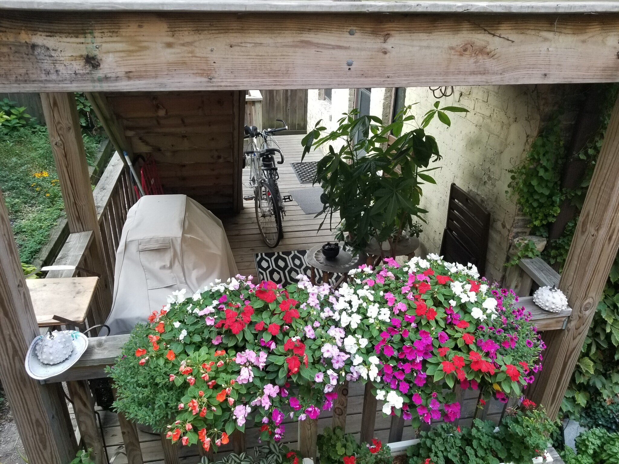 Deck looking in - 1450 N Cleveland Ave