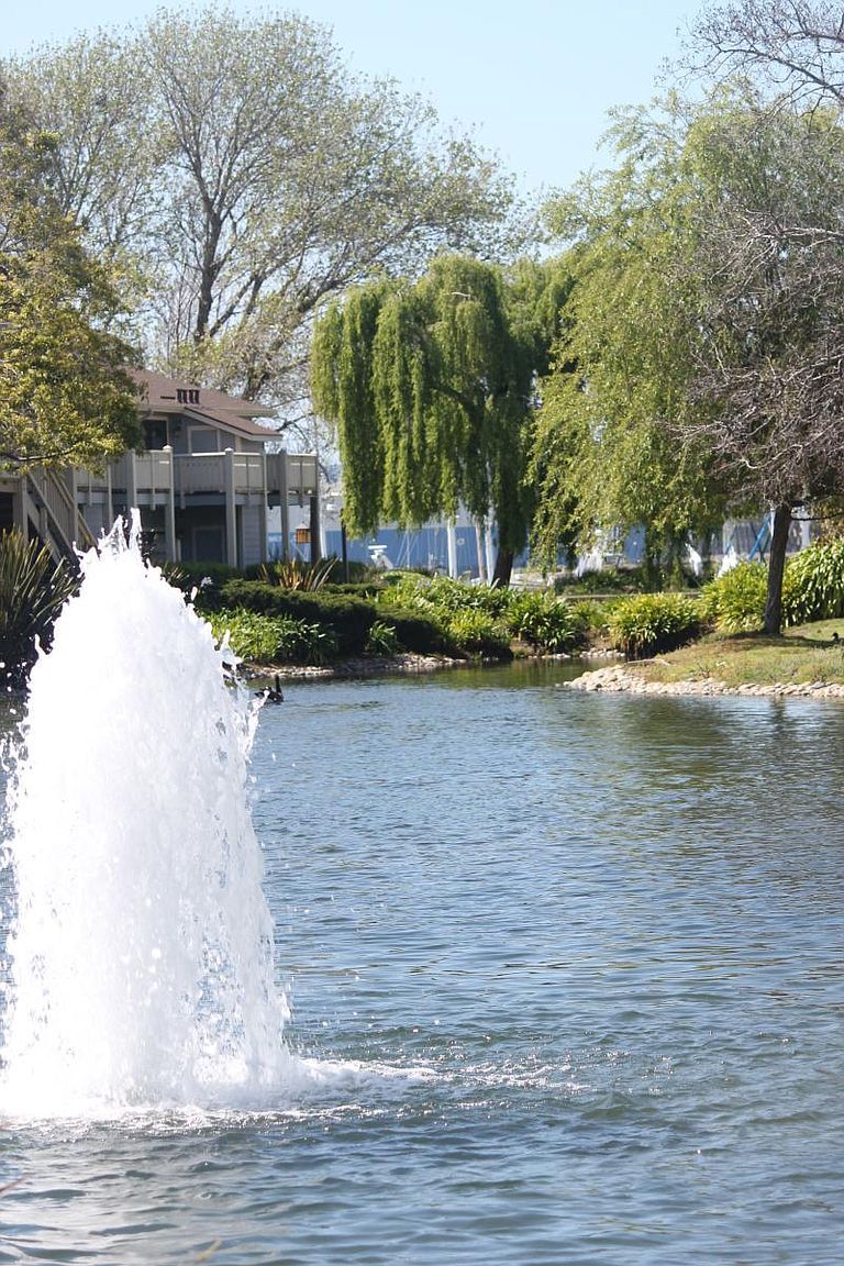 Community - 8 Shoreline Ct