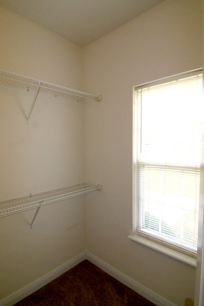 Building Photo - 2123 Moonlite Ct