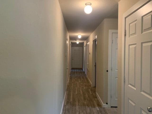 Building Photo - 3226 Navaro St