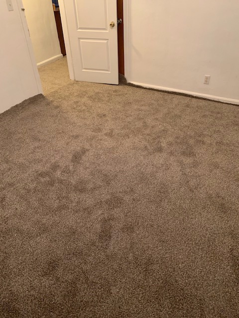 Building Photo - 631 35th St