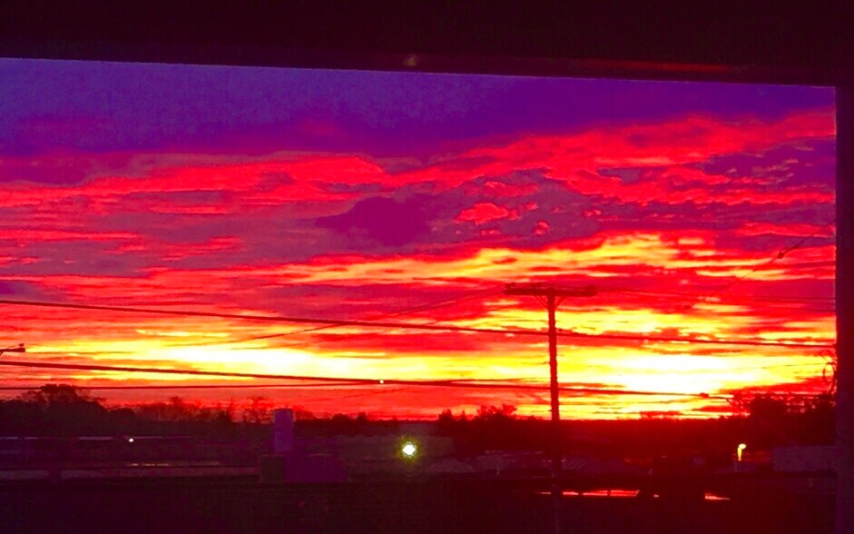 Building Photo - 1058 Forest Ave