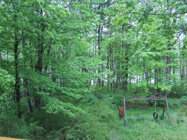 Building Photo - 174 Pattee Hill Rd