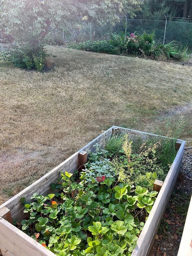 Building Photo - STUNNING CUSTOM HOME! IN STEILACOOM- MINUT...