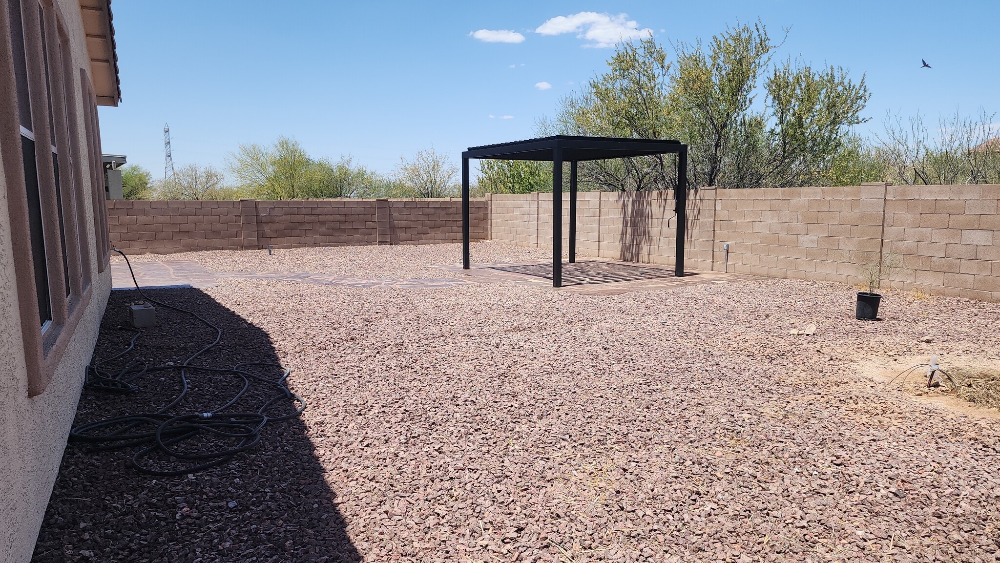 Backyard 2 - 4815 E Silverpuffs Way