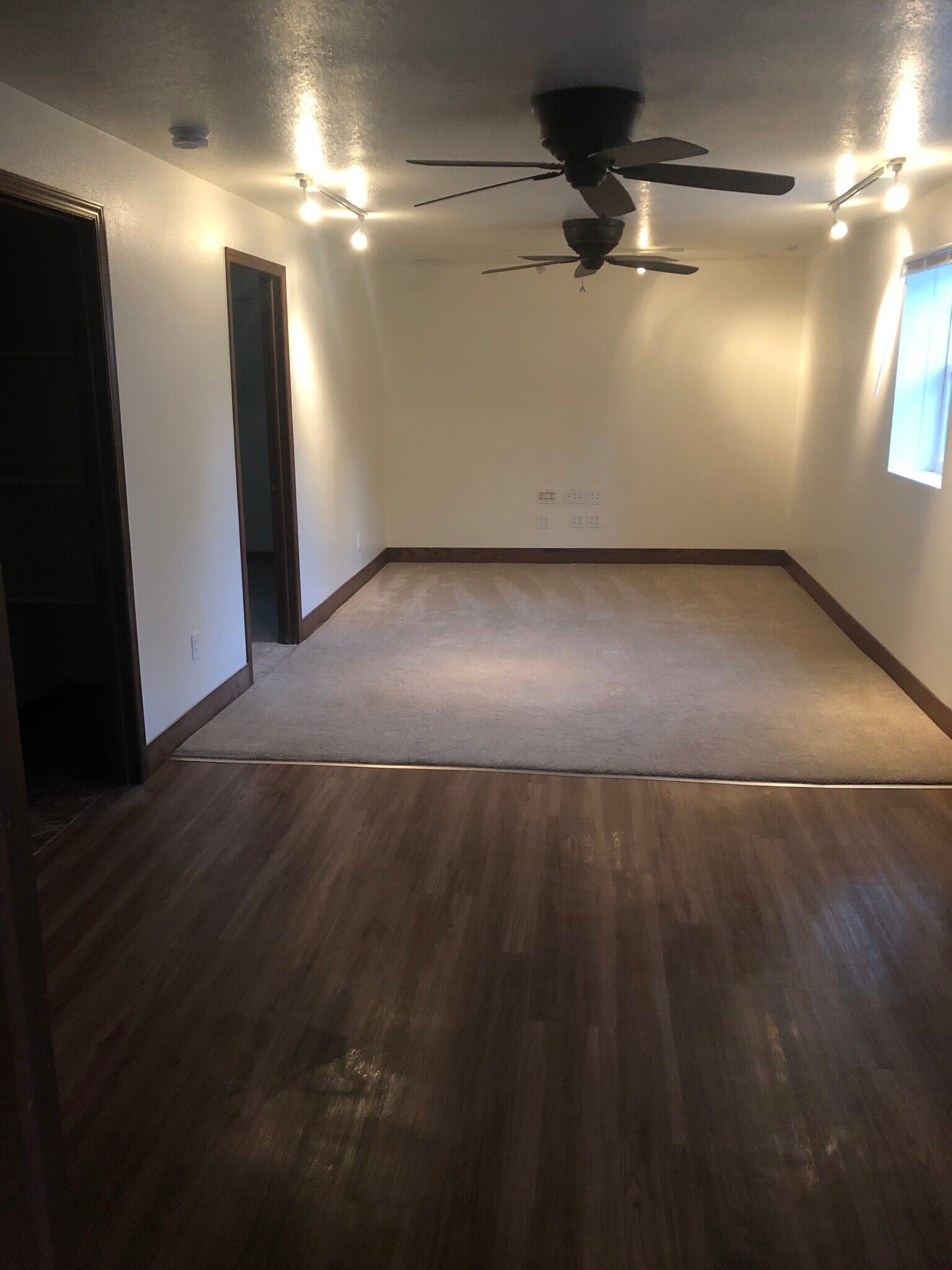 Building Photo - 1003 Olive St