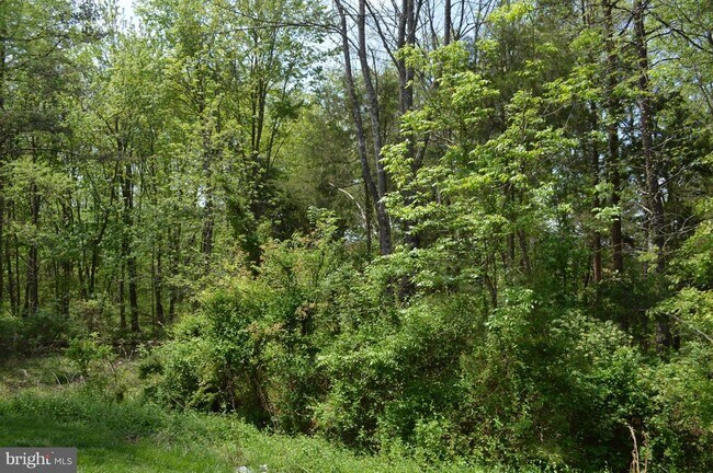 Building Photo - 22111 Chelsy Paige Square