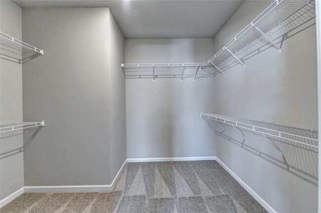 Building Photo - 1541 Winding Rdg Trl