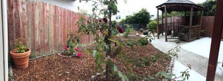 backyard - 1523 32nd Ave