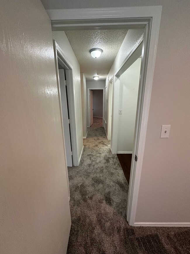 Building Photo - 3 bed 2 bath