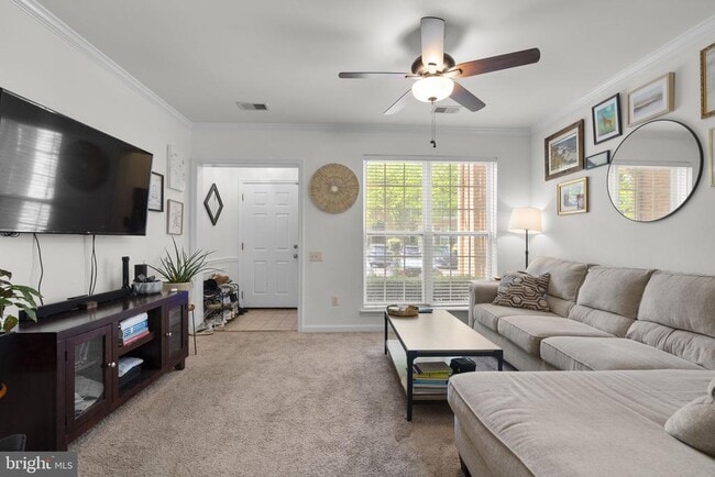 Building Photo - 11213 Edson Park Pl