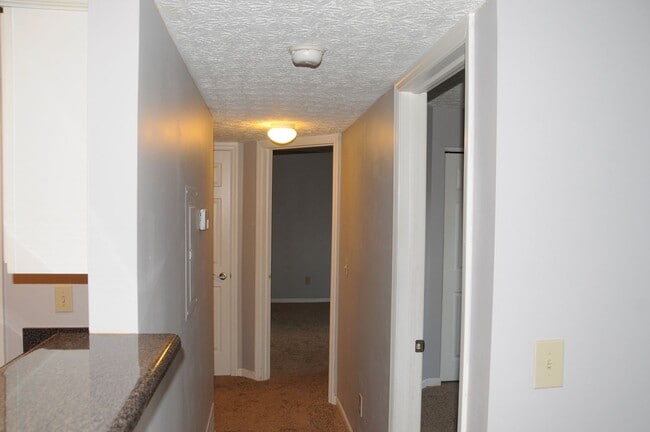 Building Photo - 5395 Cypress Chase