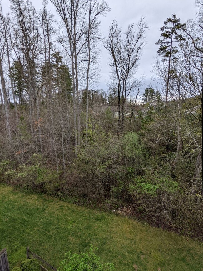 Building Photo - Spacious Condo off Hendersonville Rd