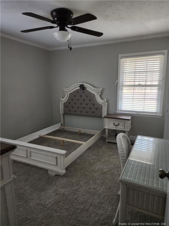 Building Photo - 1303 Middle Rd