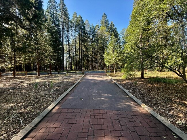 Building Photo - 13240 Loma Rica Dr