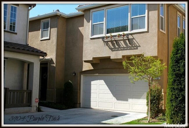 Primary Photo - 3904 Purple Finch Ln