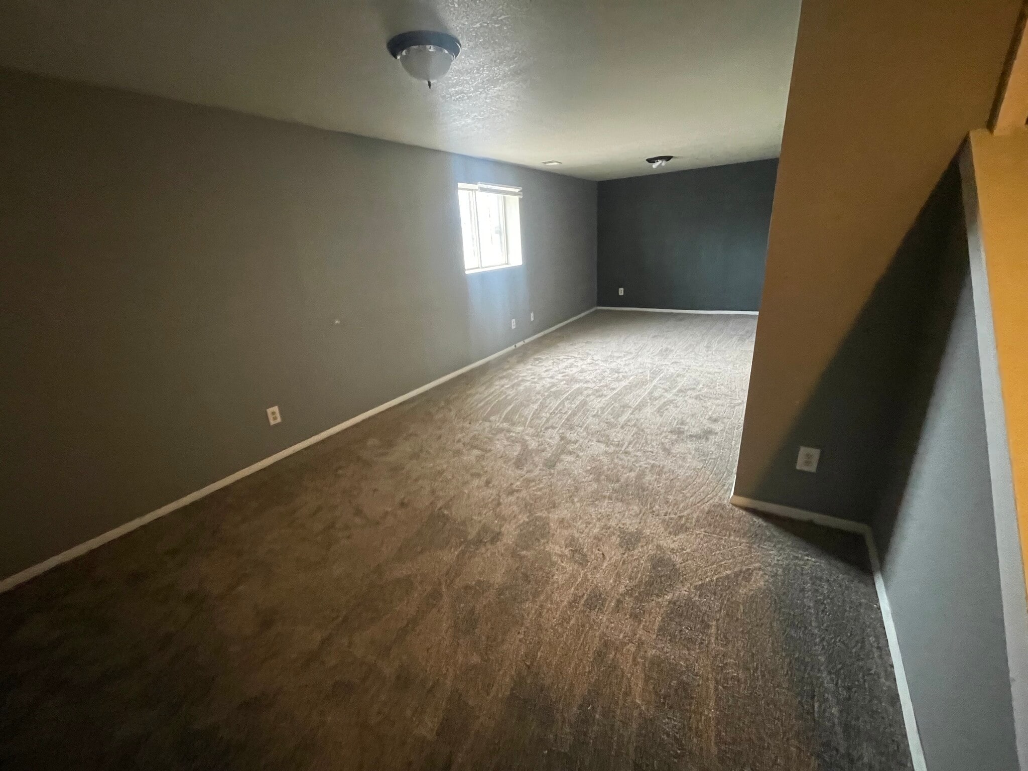 Building Photo - 822 Badger Ln