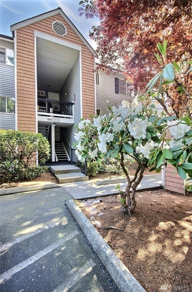 Unit Entrance - 1003 156th Ave NE