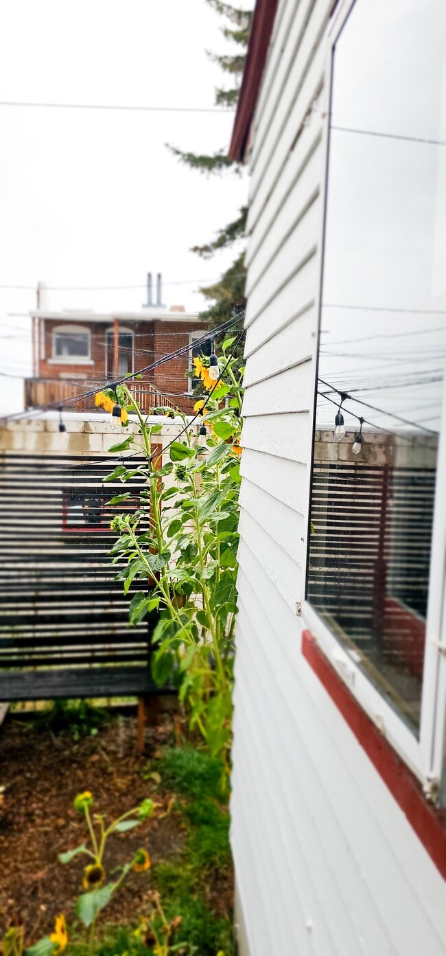 Building Photo - 218 S Jackson St